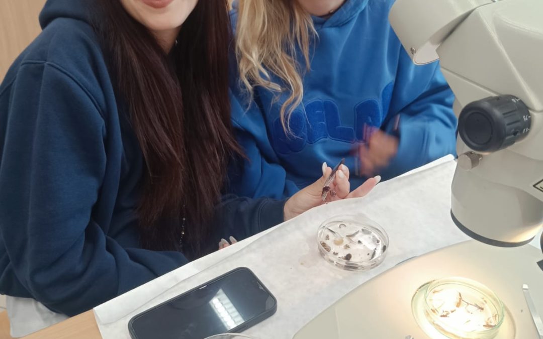 Dzień Biologii i Biotechnologii